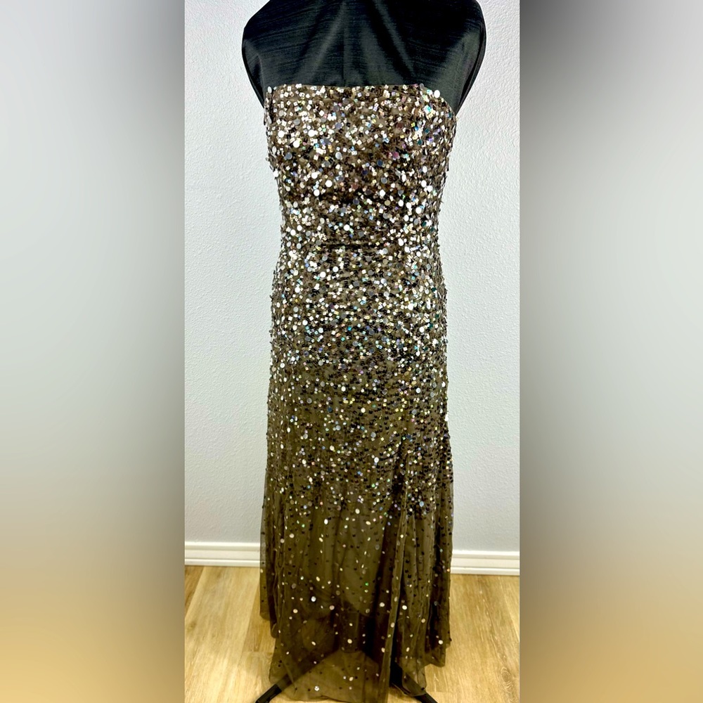 Adrianna Papell full length evening gown size 8.
